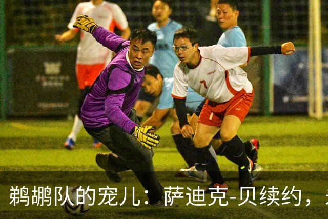 鹈鹕队的宠儿：萨迪克-贝续约，未来无限光明！